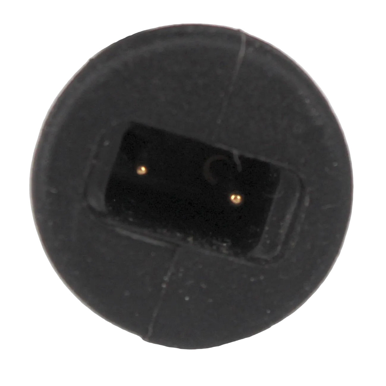 Close-up of a black connector on a white background with two central copper pins