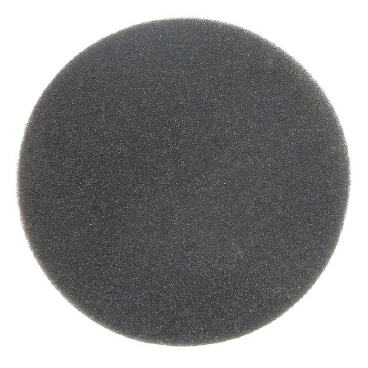 Beyerdynamic DT770 DT880 DT990 Foam ear infill sold individually